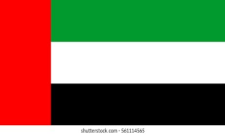 https://tig-group.org/wp-content/uploads/2023/07/Abu-Dhabi-Flag.jpg