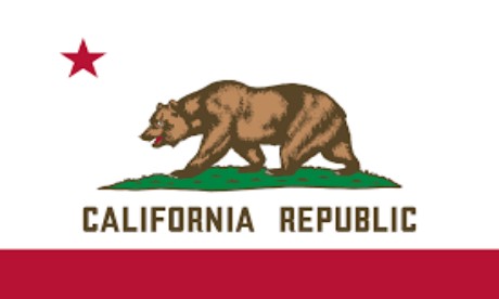 https://tig-group.org/wp-content/uploads/2023/07/Claifornia-Flag.jpg